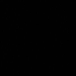 Meet your Posher, Jesus